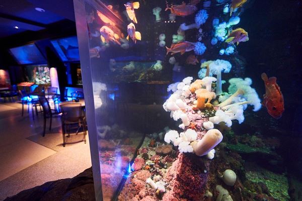 Vancouver Aquarium