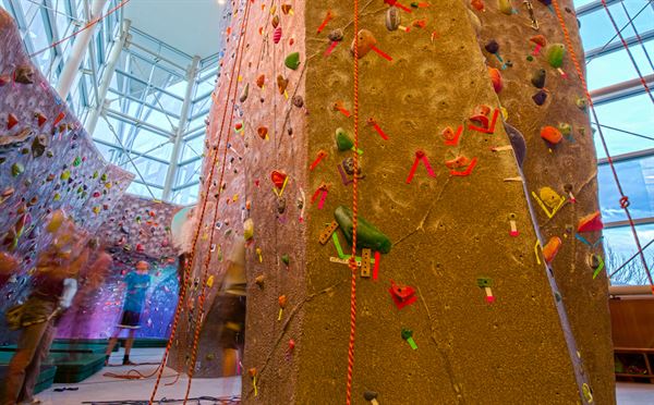 Colorado State University