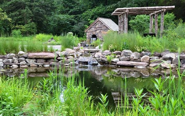 Bowman's Hill Wildflower Preserve