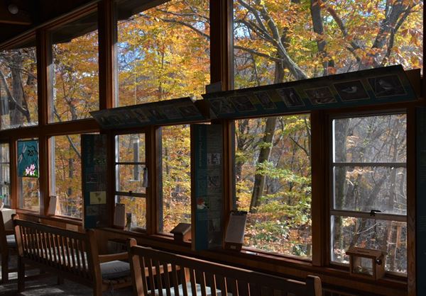 Bowman's Hill Wildflower Preserve