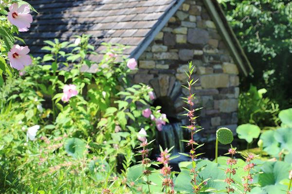 Bowman's Hill Wildflower Preserve