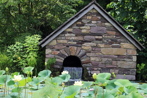 Bowman's Hill Wildflower Preserve