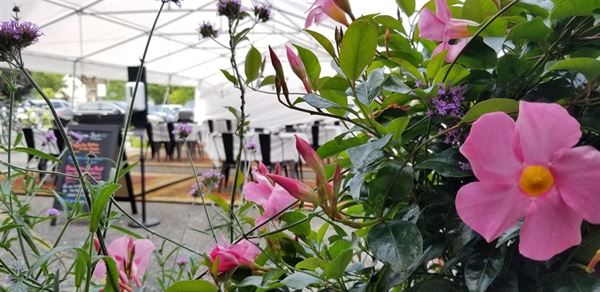 da baffone cucina italiana