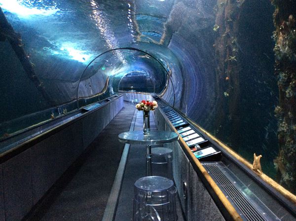 Aquarium of the Bay
