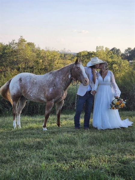 MP Events and Radiant Estates Weddings