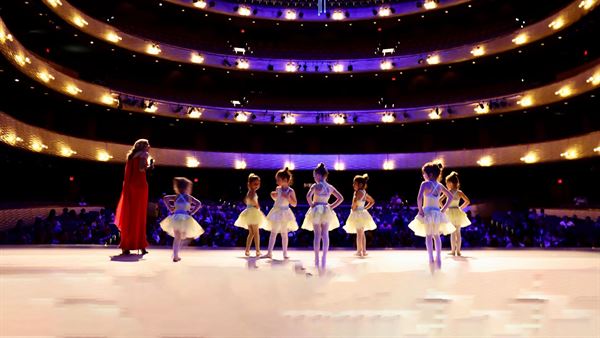 Irving Fine Arts Academy