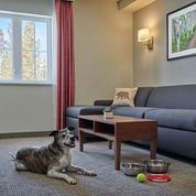 Residence Inn Breckenridge