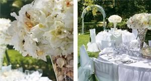 Exquisite Vacations Inc (Caribbean Destination Weddings & Honeymoons)