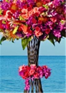 Exquisite Vacations Inc (Caribbean Destination Weddings & Honeymoons)
