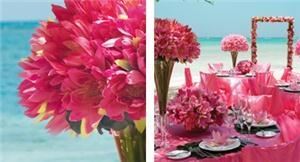 Exquisite Vacations Inc (Caribbean Destination Weddings & Honeymoons)