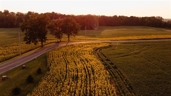 The Retreat at Evans Farms