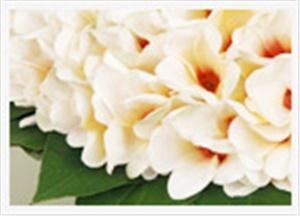 Exquisite Vacations Inc (Caribbean Destination Weddings & Honeymoons) - Fort Lauderdale