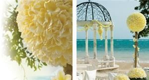 Exquisite Vacations Inc (Caribbean Destination Weddings & Honeymoons) - Fort Lauderdale