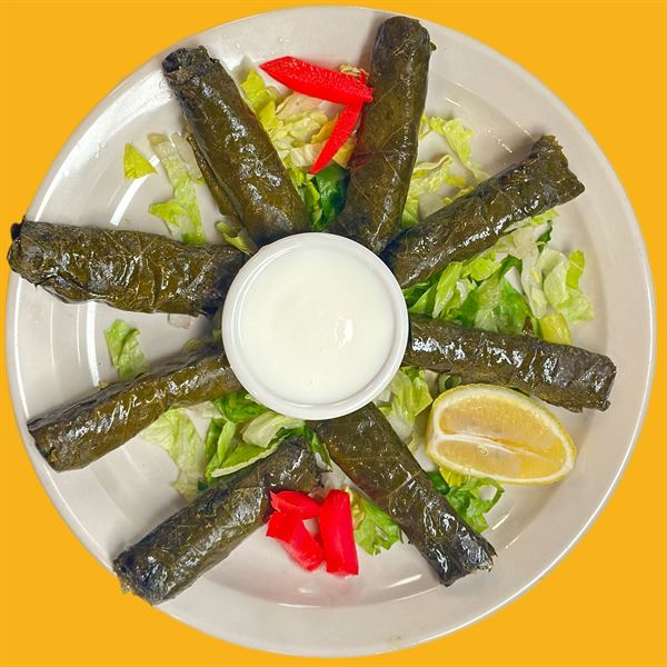 socotra kitchen and grill