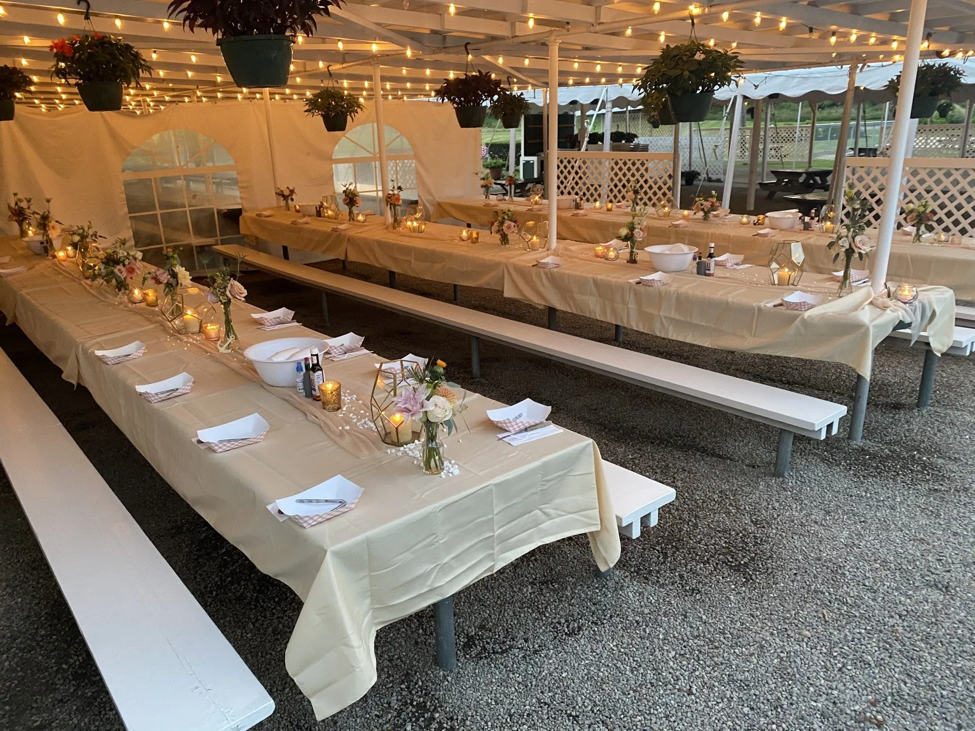 Kempenaar's Clambake Club