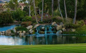 Back Lawn & Waterfall Wall