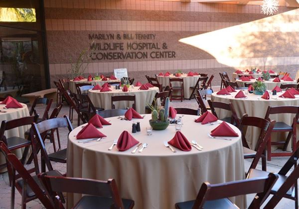 Living Desert Zoo and Gardens