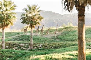 Additional Event Spaces