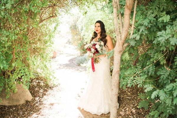 Living Desert Zoo and Gardens