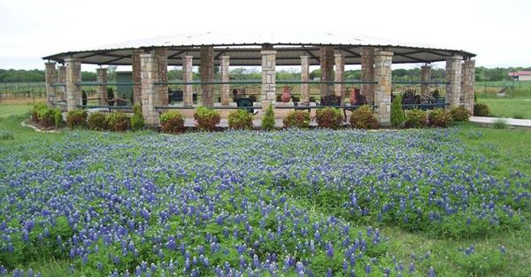 Pillar Bluff Vineyards