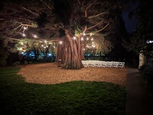 Children's Cottage & Sequoia Grove