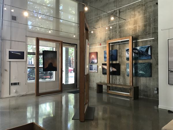 Pacific Landscapes Gallery