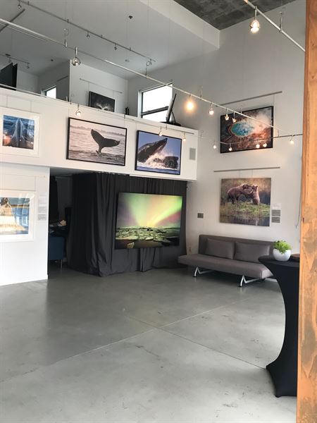 Pacific Landscapes Gallery