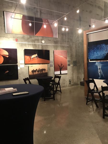 Pacific Landscapes Gallery