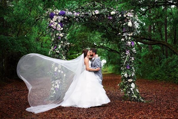 Spring Hollow Events