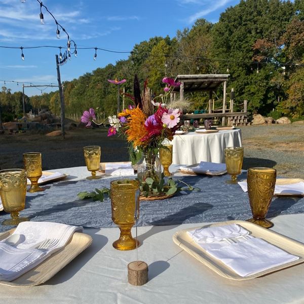 The Honeysuckle Tea House