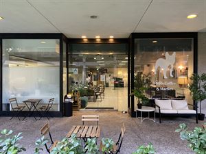 Stella Coffee (full venue)