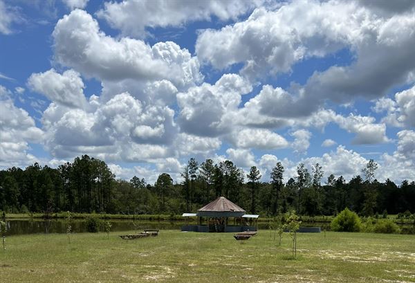 Nine Point Properties