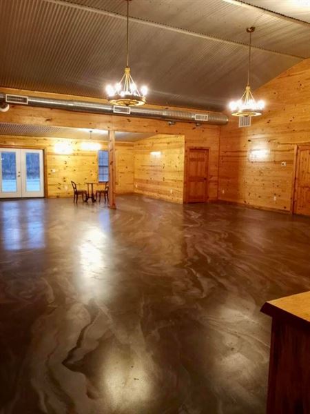 Nine Point Properties