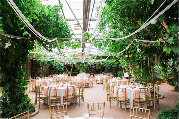 Boojum Tree Hidden Gardens