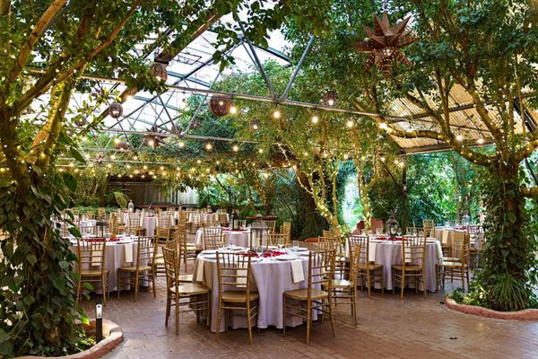 Boojum Tree Hidden Gardens