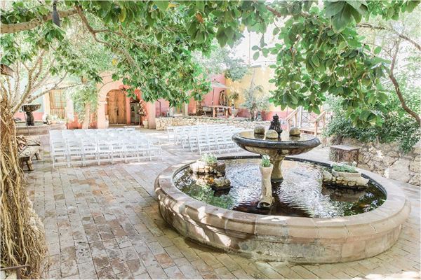 Boojum Tree Hidden Gardens