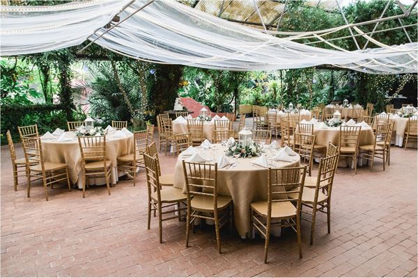 Boojum Tree Hidden Gardens