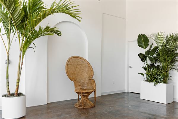 Archive Creative Space