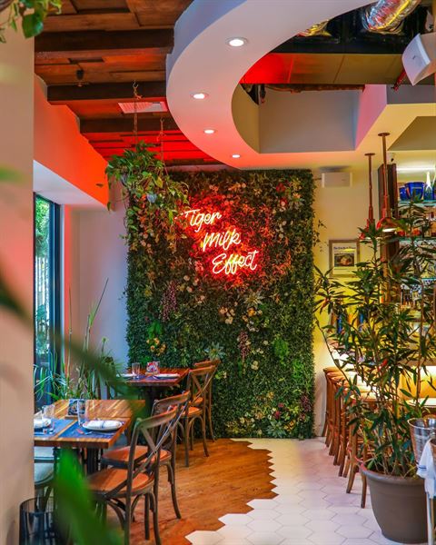 Mission Ceviche Upper East Side