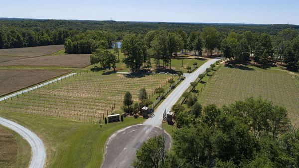 Tunnel Creek Vineyards