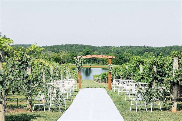 Tunnel Creek Vineyards