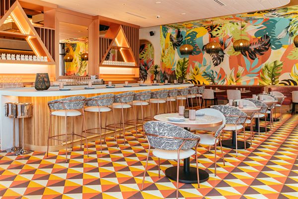 PLANTA QUEEN FORT LAUDERDALE