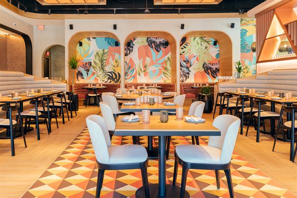 PLANTA QUEEN FORT LAUDERDALE