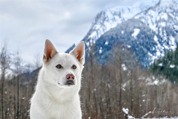 Anzal Kamran Photography