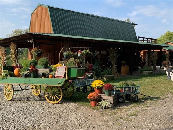 Driving Wind Farm and Cafe