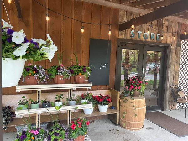 Driving Wind Farm and Cafe