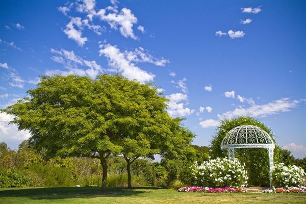 South Coast Botanic Garden