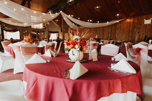 The AppleTree Terrace