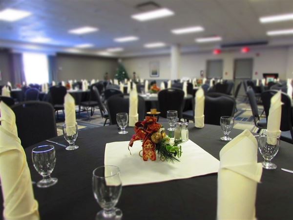 Holiday Inn Hotel & Suites Grande Prairie-Conference Ctr