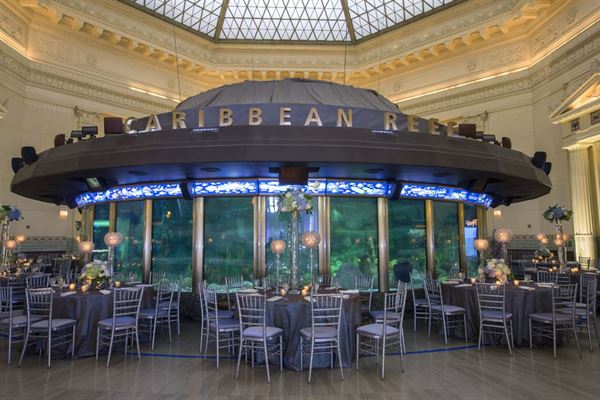 Shedd Aquarium